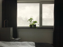 Afbeelding in Gallery-weergave laden, SQUID window foil in bedroom color ash
